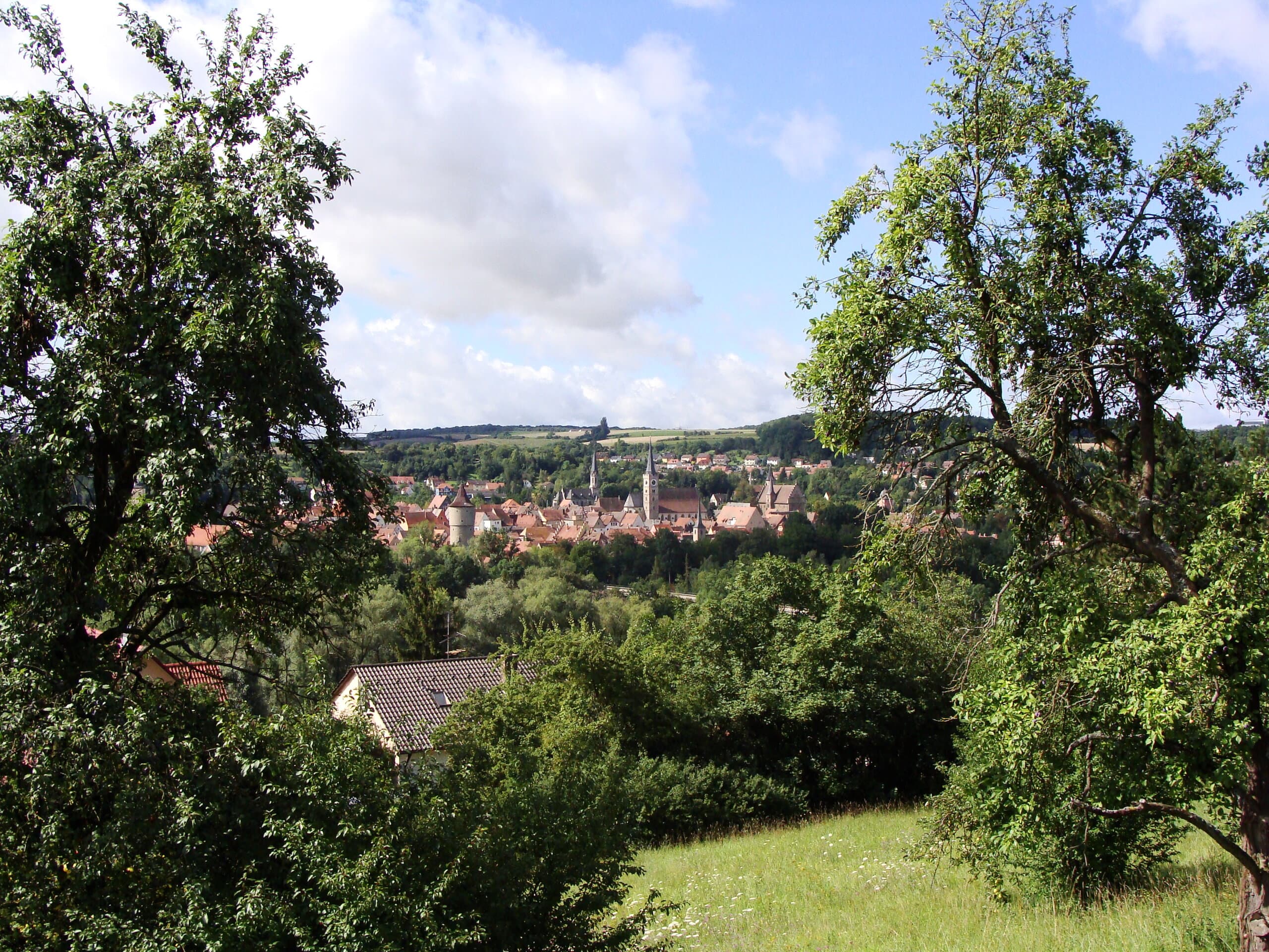 Blick über Wiesen und Obstbäume auf die Altstadt von Ochsenfurt im Maintal